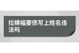 南雄为什么选择专业追讨公司来处理您的债务纠纷？